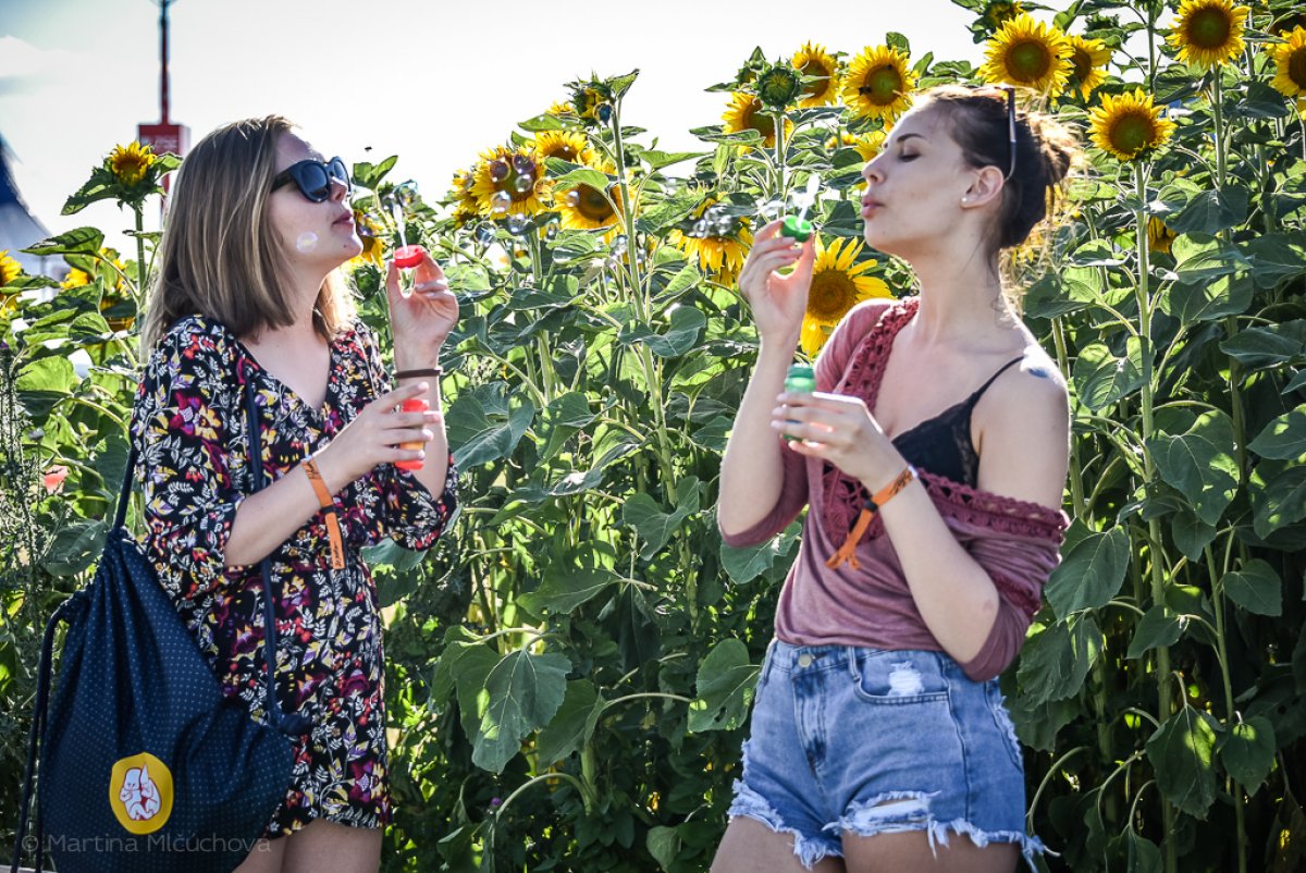 Festival Pohoda oznámil počas Pohoda dňa_FM  nové mená