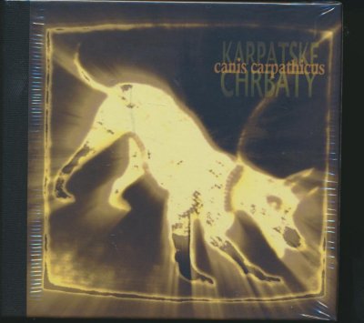 Canis Carpathicus