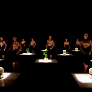 Svetový tanečný súbor Nederlands Dans Theater zavíta na Pohodu s dvomi predstaveniami