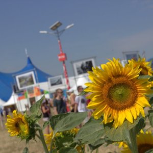 Festival Pohoda 2019 je týždeň pred začiatkom vypredaný