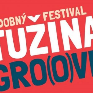 Na festivale Tužina Groove známe mená, ale aj vychádzajúce hviezdy alternatívnej scény