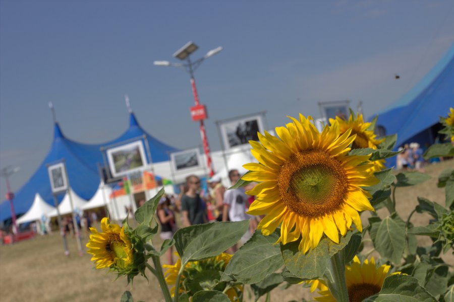 Festival Pohoda 2019 je týždeň pred začiatkom vypredaný