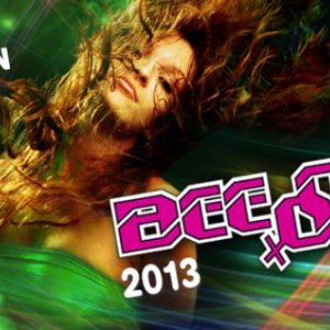 BeeFree 2013