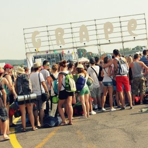 Grape Festival 2016